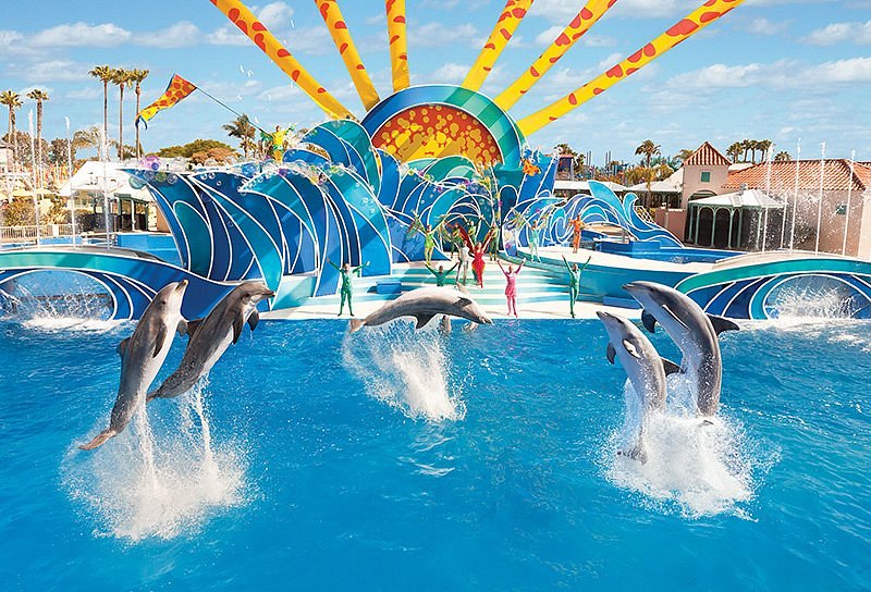 Discover the Aquatica San Diego Water Park