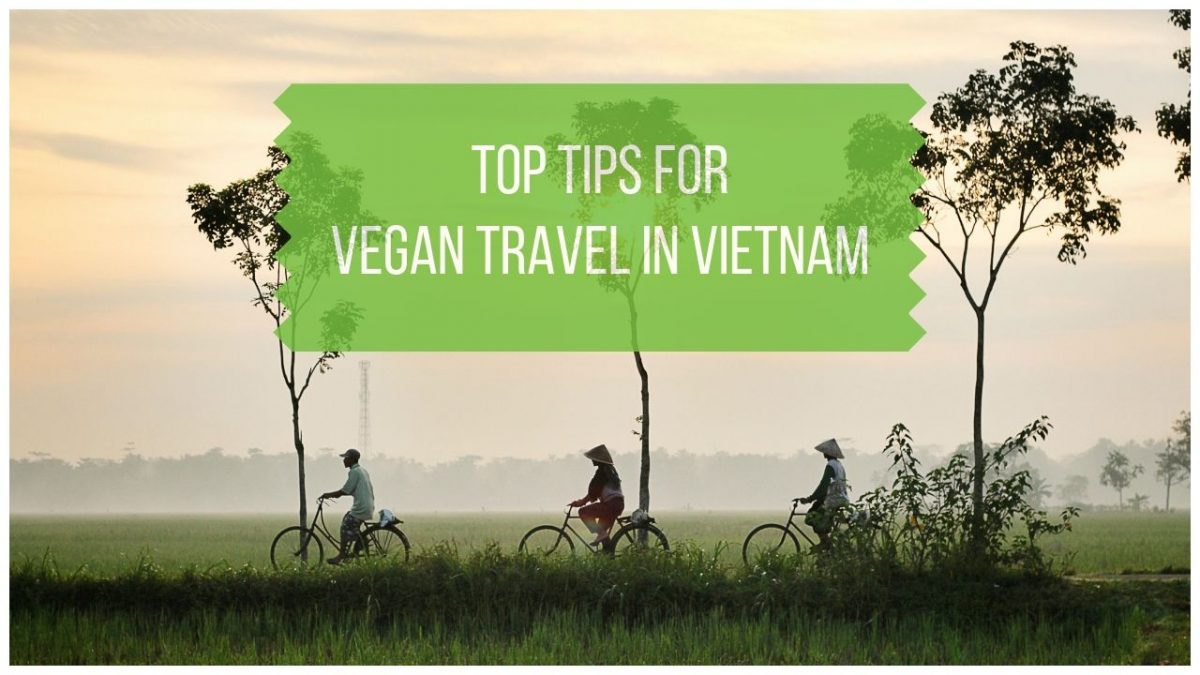 Learn some basic Vietnamese phrases