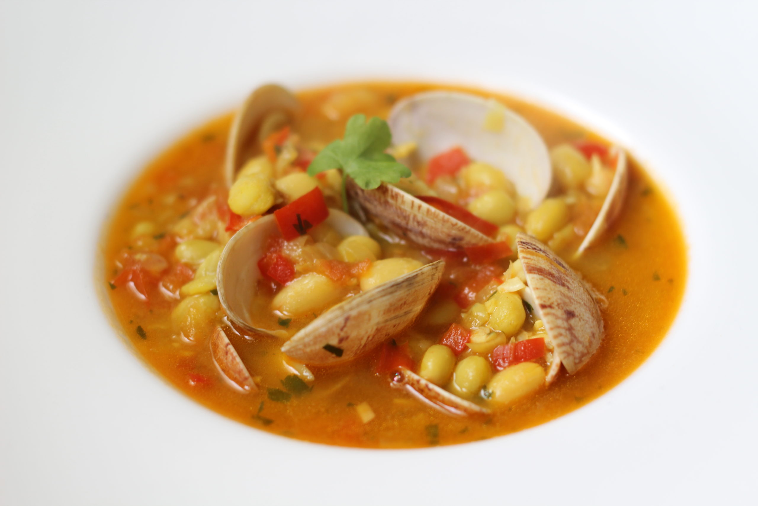 Receta de Pochas con almejas y tomate