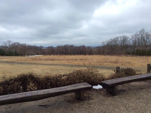 Day 6: Explore Nature at the Audubon Society