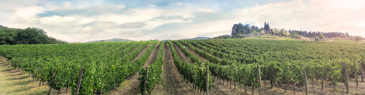 Montepulciano