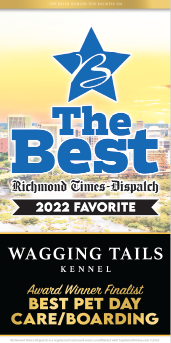8. The Wagging Tail