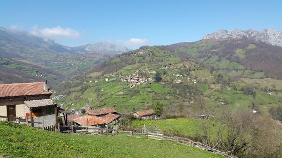 Cecina