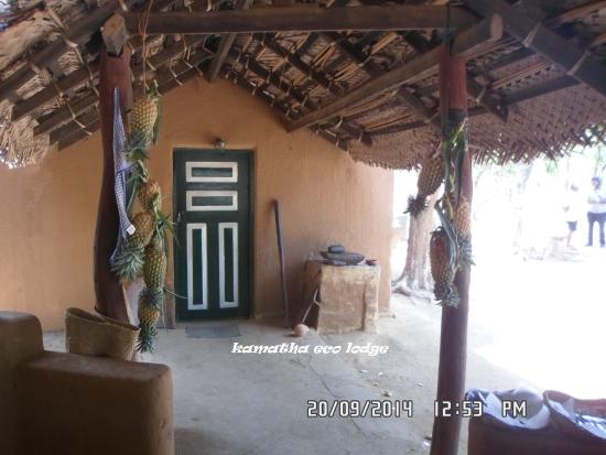 EcoLodge Resort