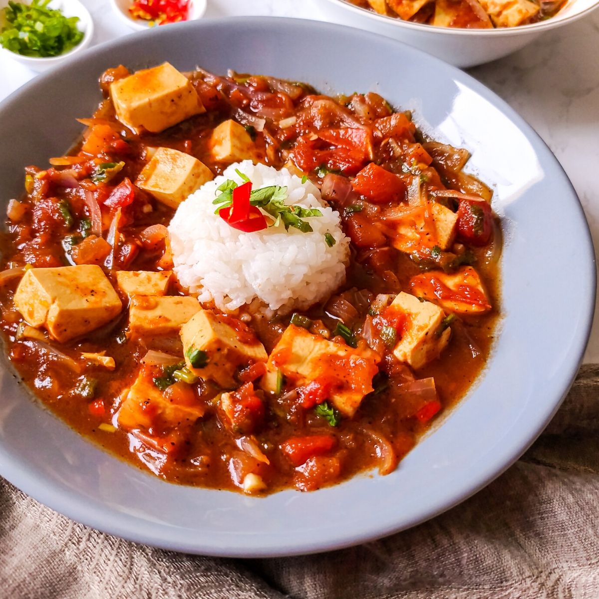 Tomato Rice with Tofu