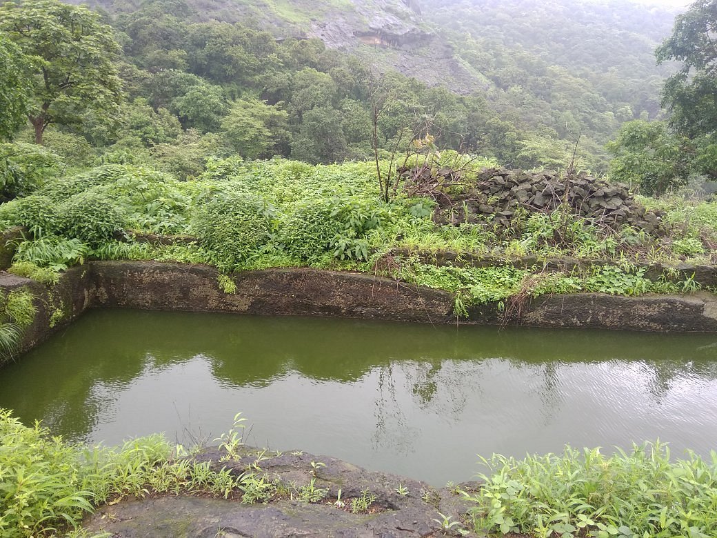 Sanjay Gandhi National Park