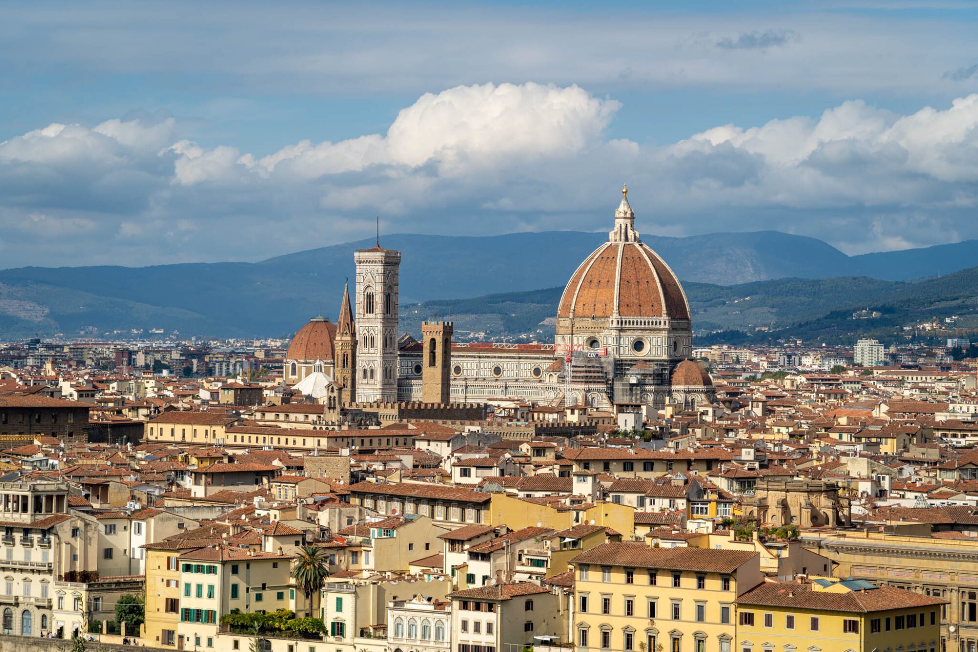 Panificio Gluten Free Firenze