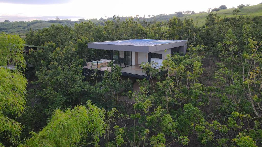 Eco Haven Hotel