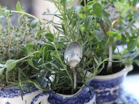 Farmhouse-Inspired White Kitchen with Herb Garden