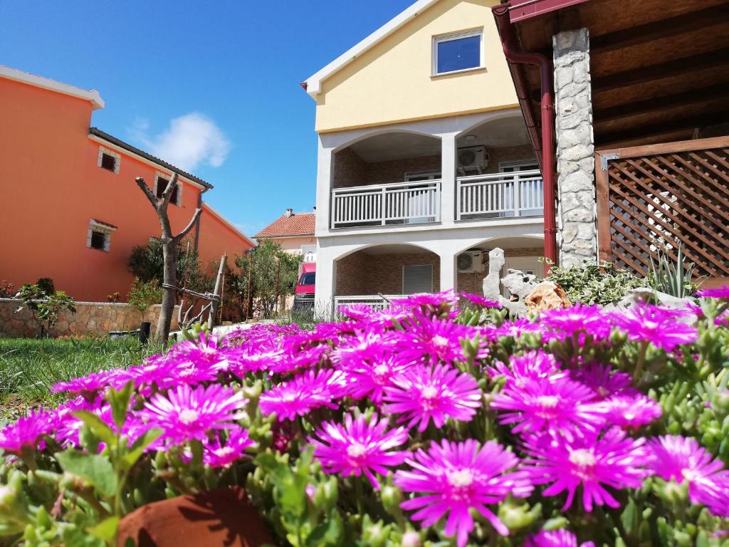 Hotel Mala Sirena