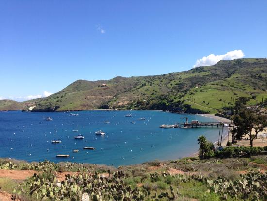 Day 6: Catalina Island Day Trip