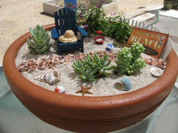 Gnome Oasis in the Desert