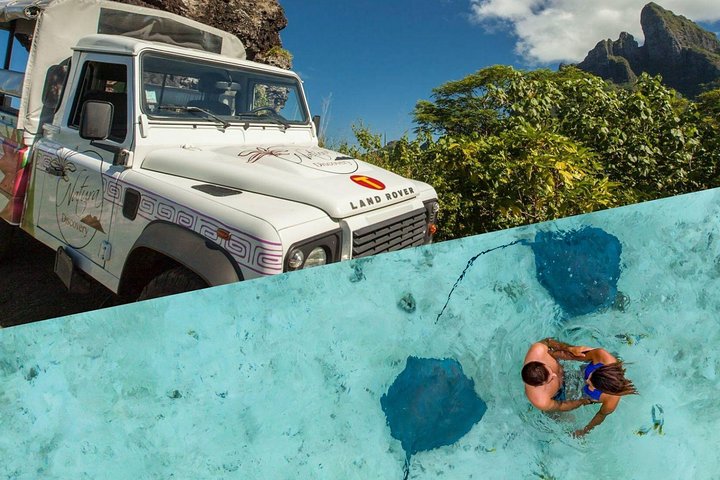 Bora Bora Shark and Ray Museum