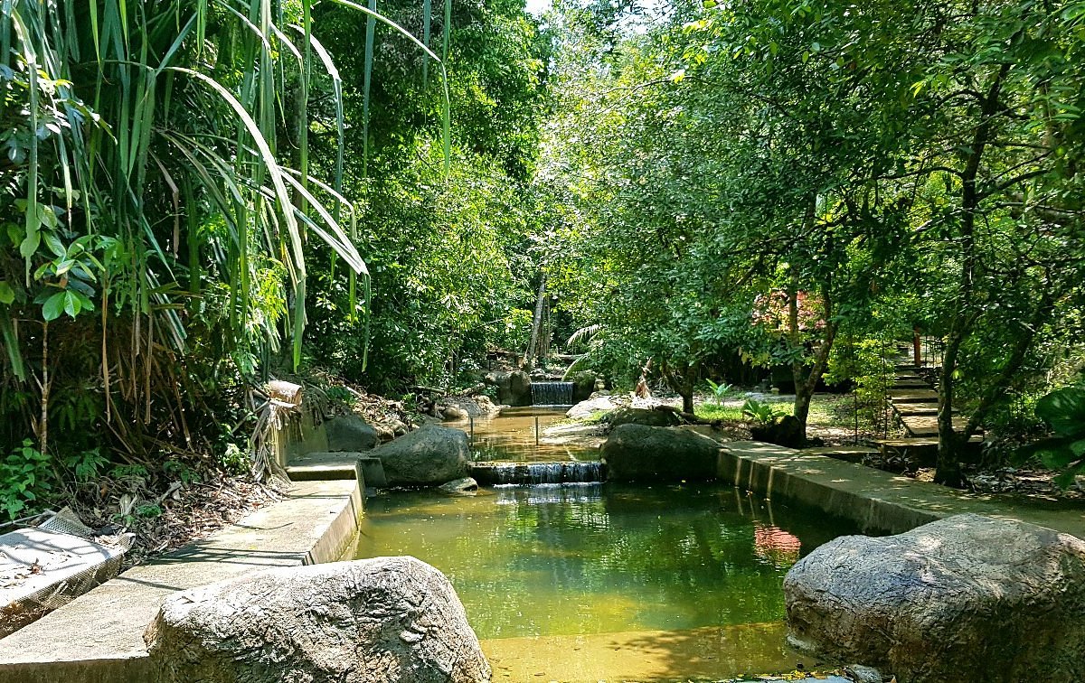 Penang National Park