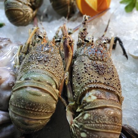 Fish Market
