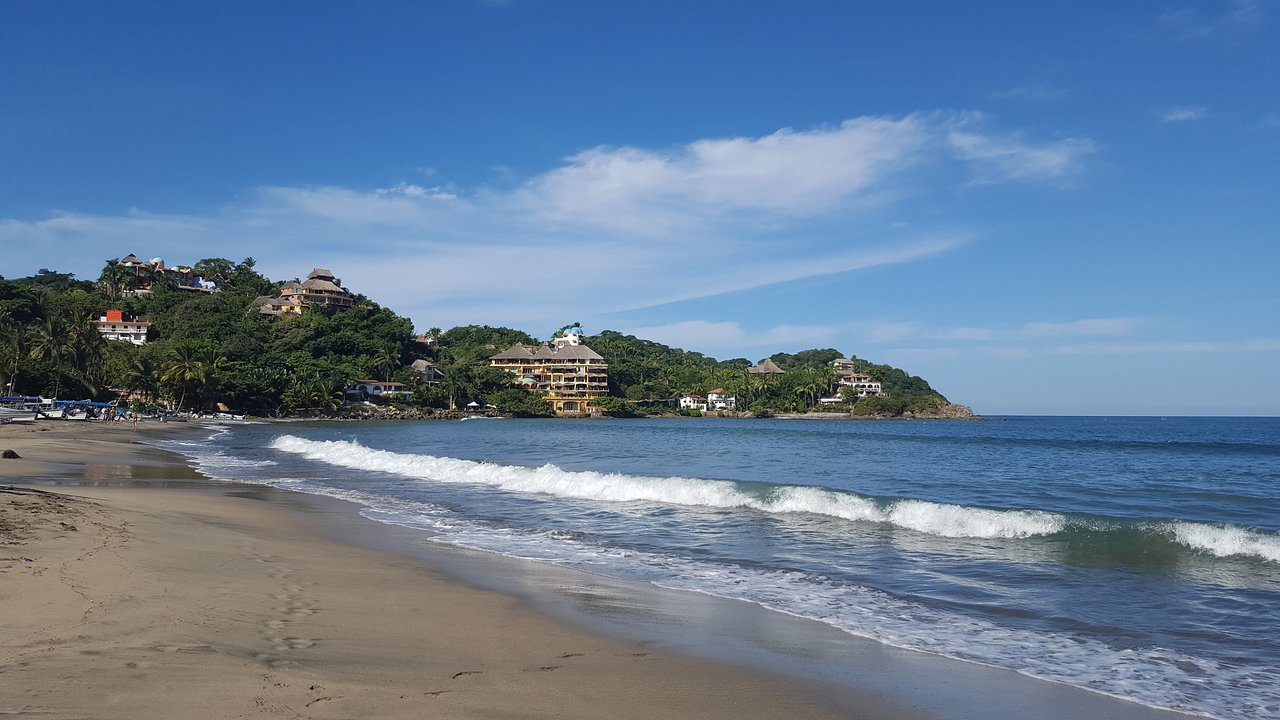 Exploring Sayulita's Jungle
