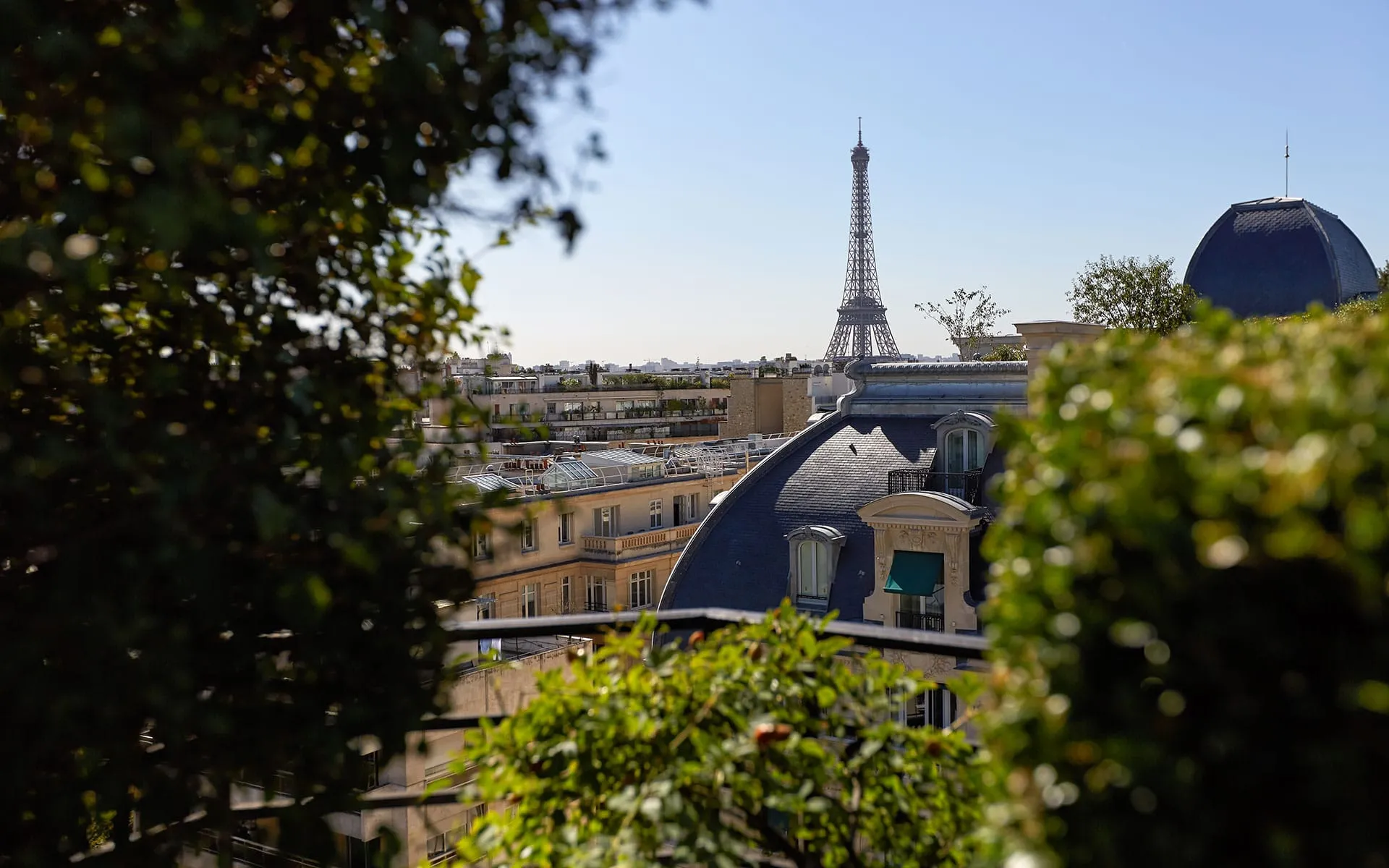 Hotel Raphael