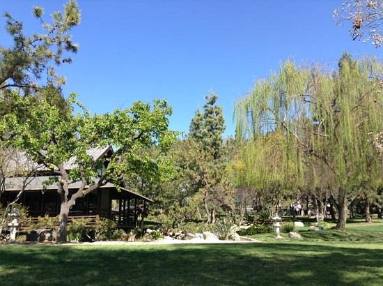 Day 4: Explore Brand Park and the Brand Library