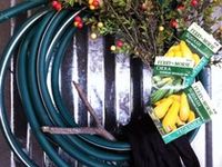 Garden Art Display