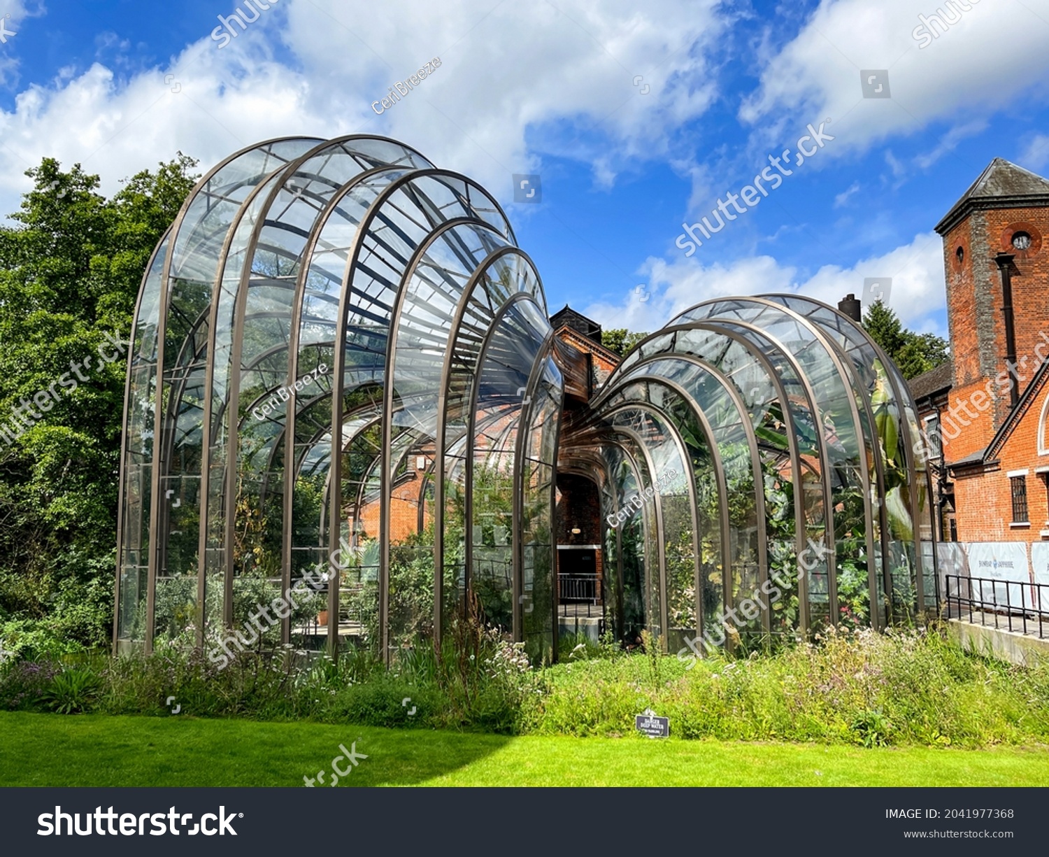 Cámara fotográfica