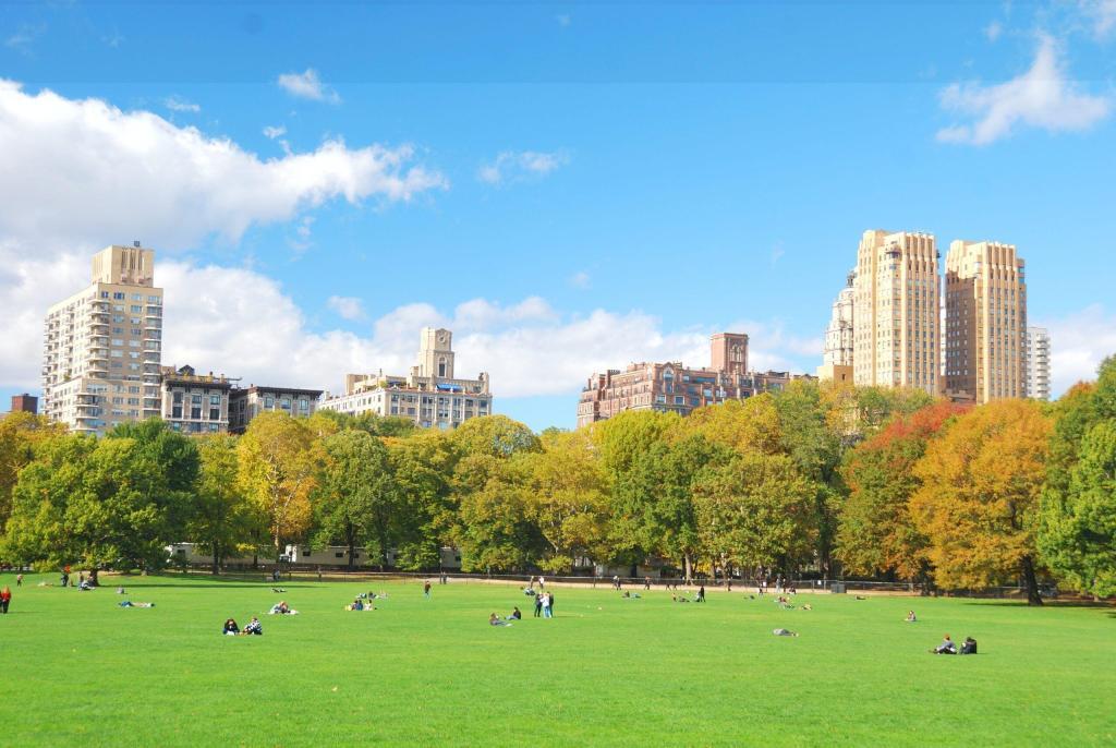 Paseo en el carrusel de Central Park