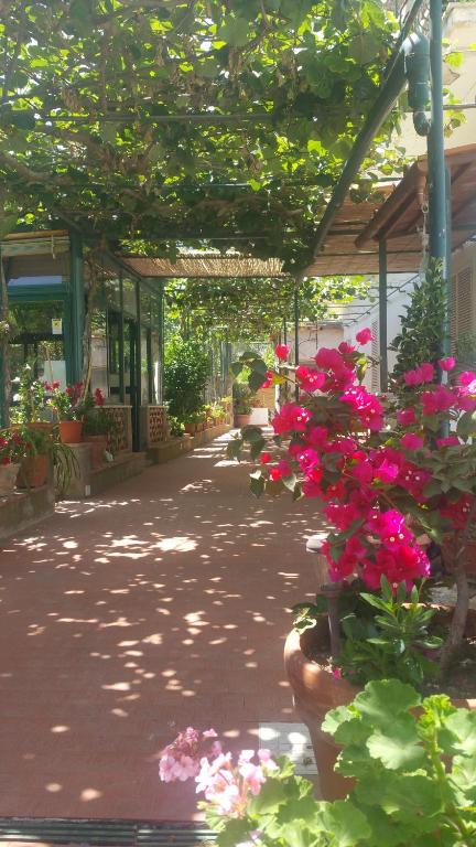 Hotel Villa BB