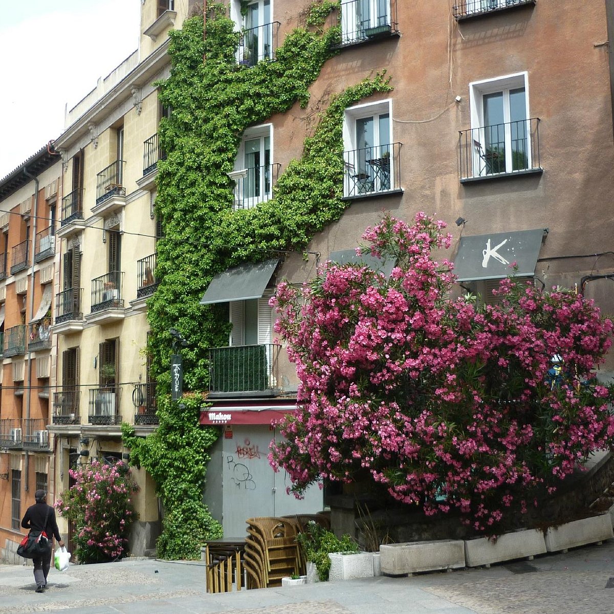 Museo de la Caza