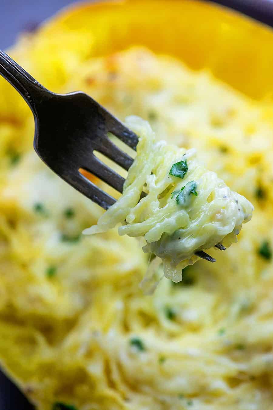 Spaghetti Squash Alfredo
