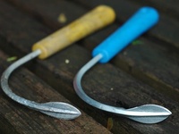 Classic Garden Spade