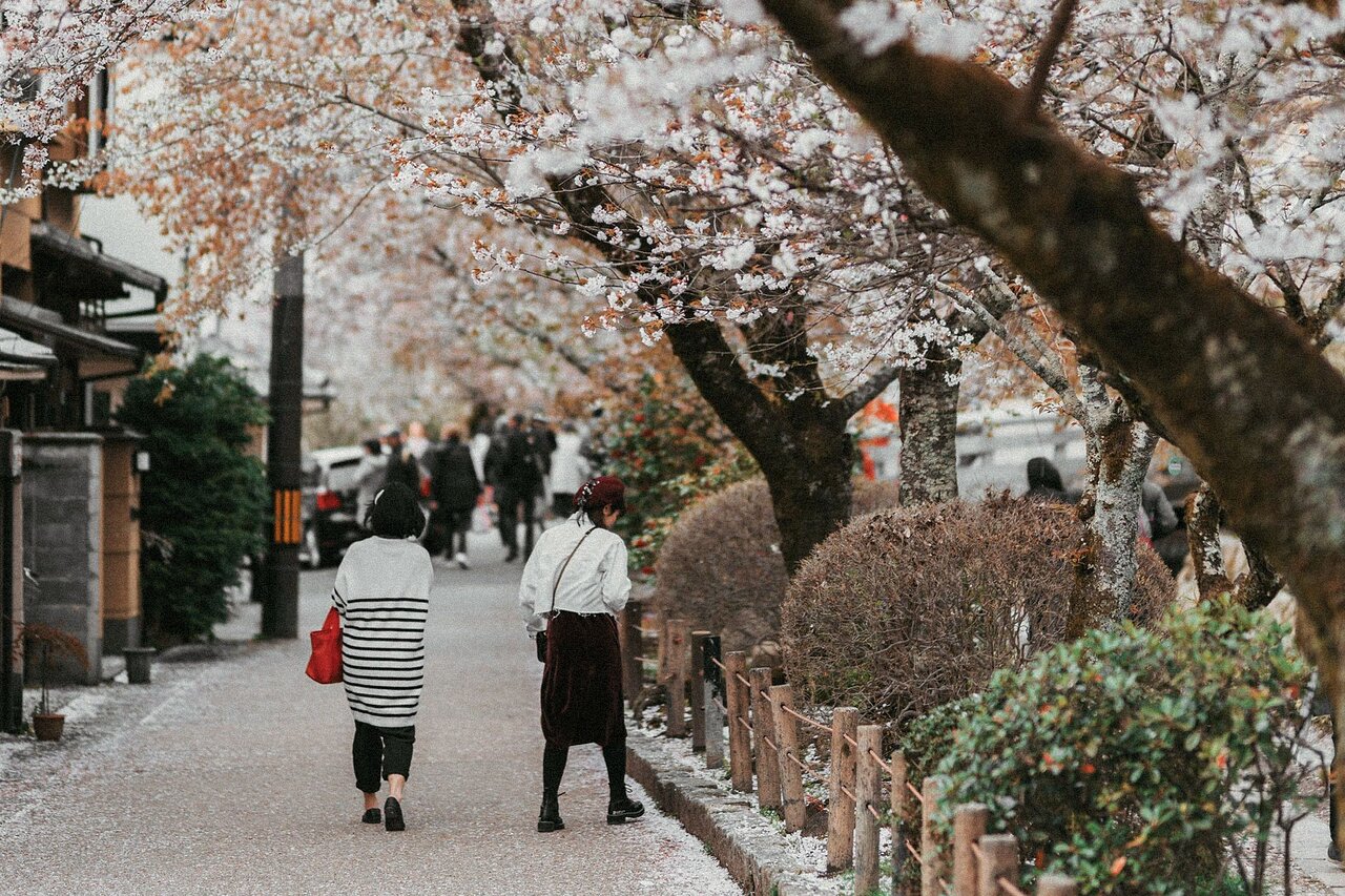 Day 6: Kyoto's Cultural Arts