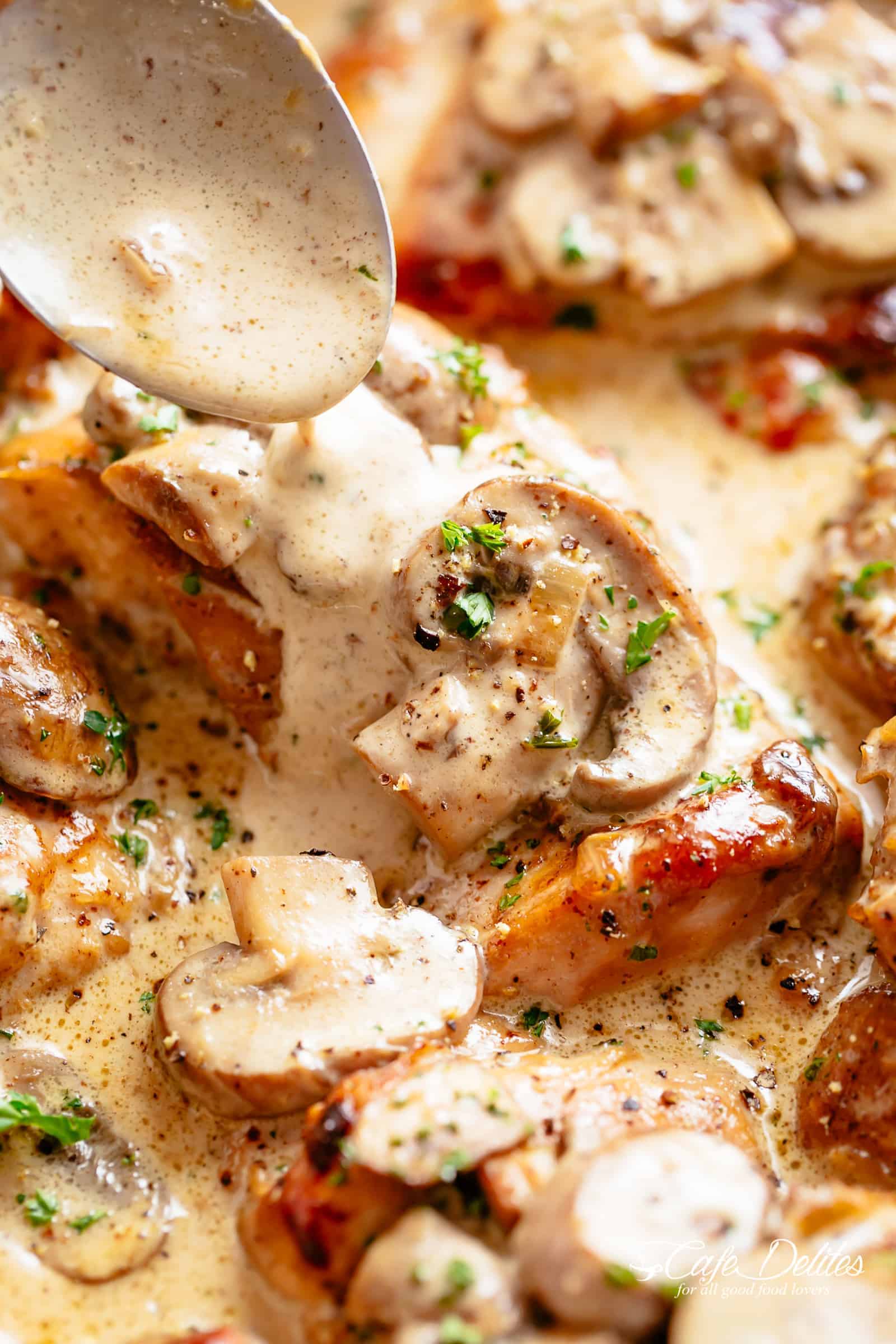 Boneless Chicken Thighs with Creamy Mushroom Sauce