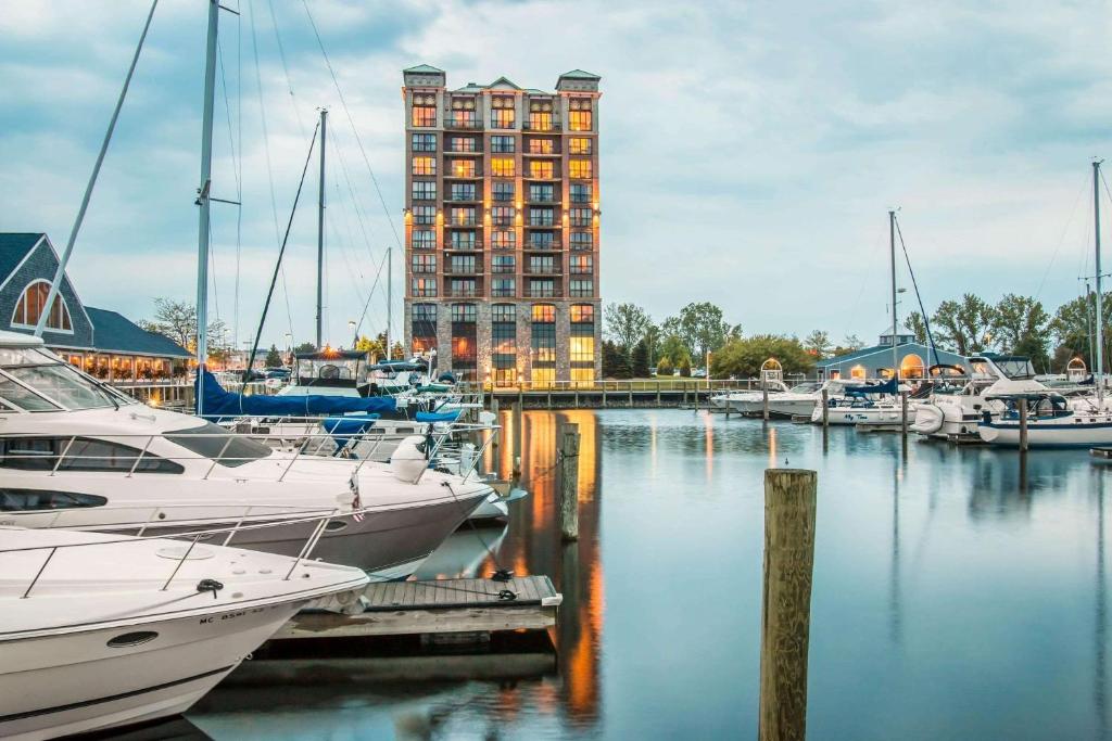 Shoreline Inn