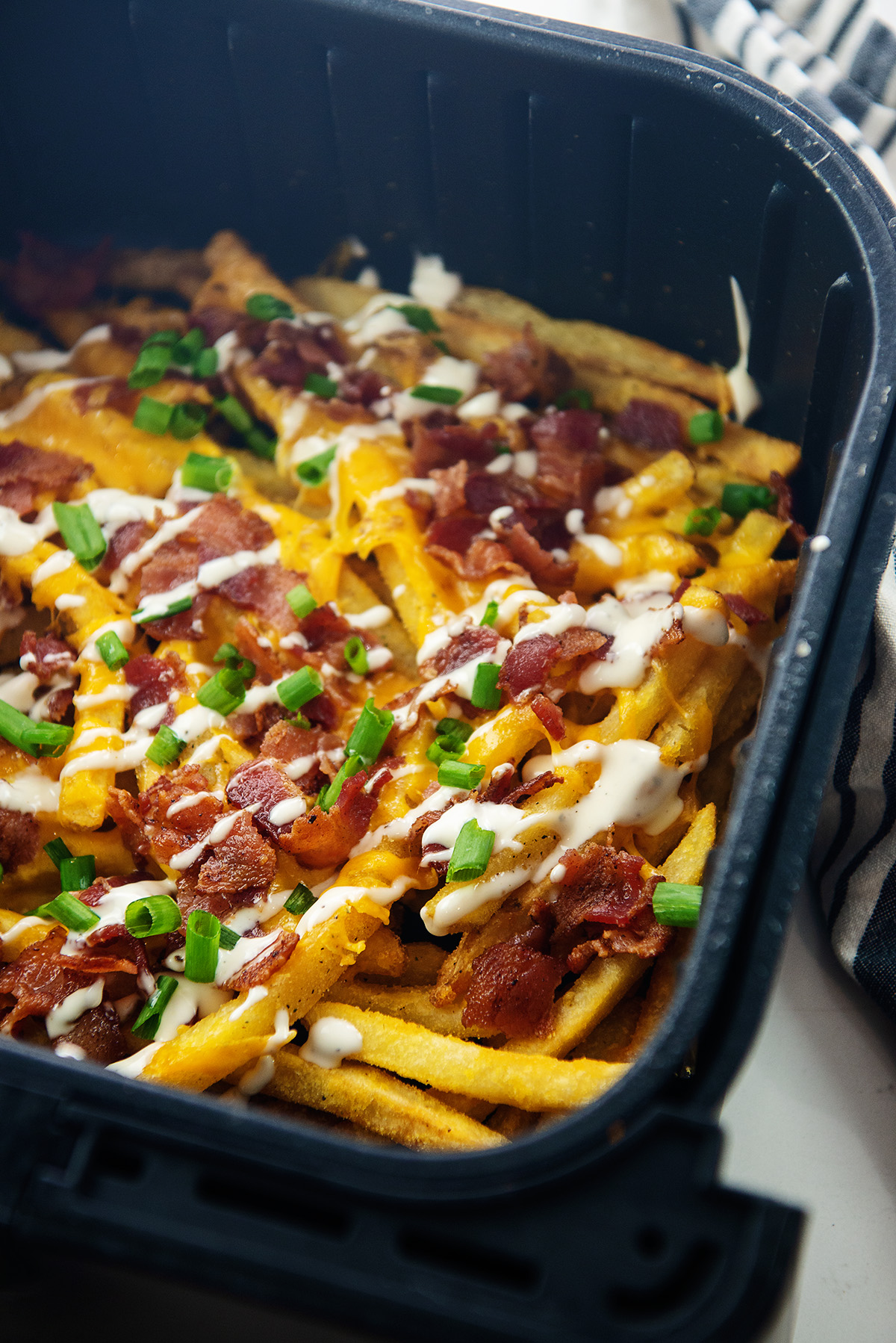Loaded Air Fryer French Fries