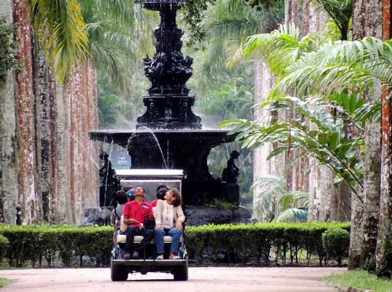 Jardim Botânico