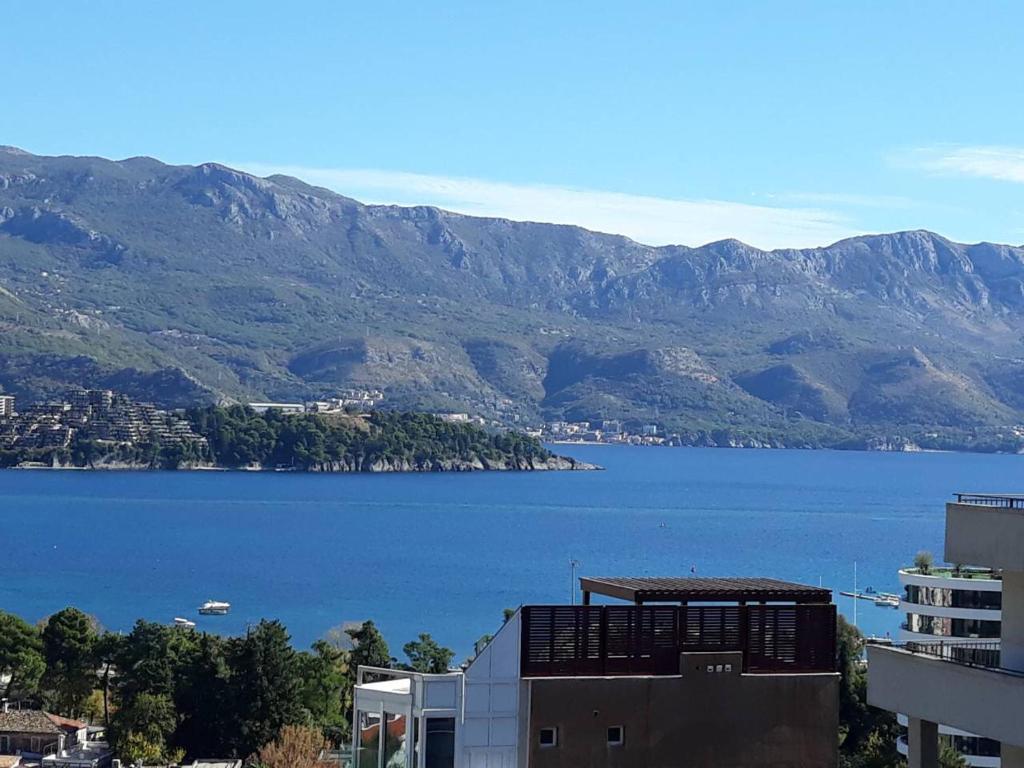 Seaview Paradise