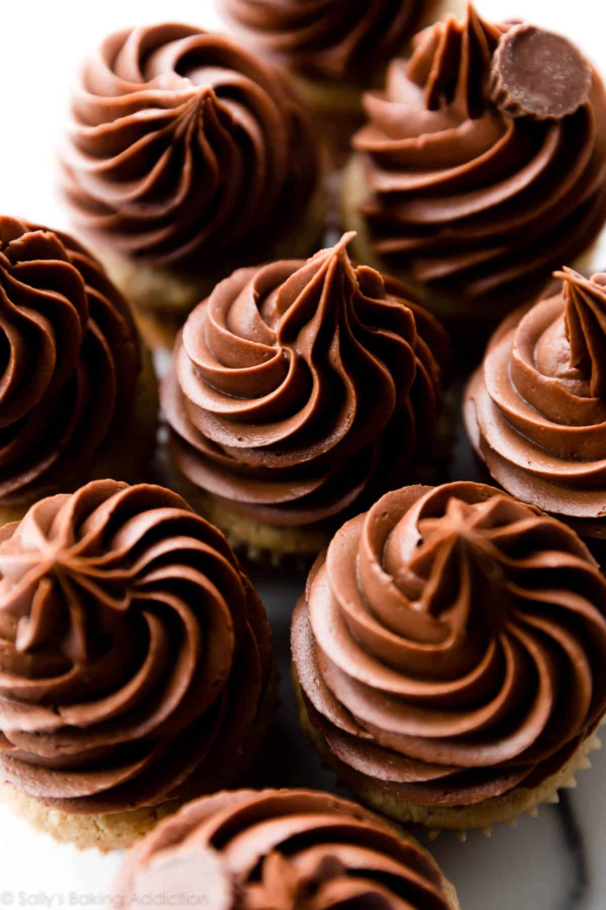 Peanut Butter Chocolate Cake with Peanut Butter Mousse Frosting
