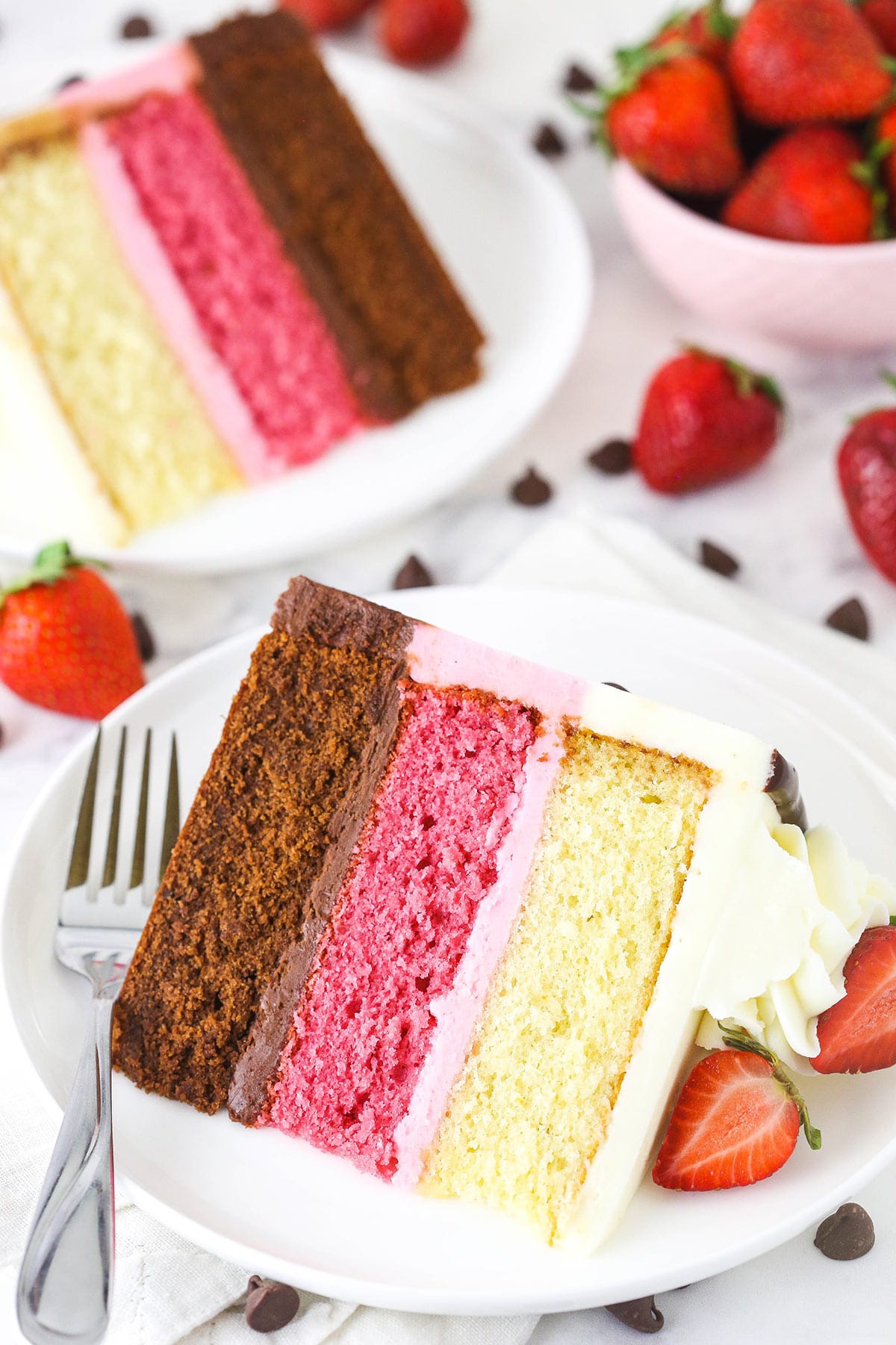 Protein-Packed Neapolitan Cake