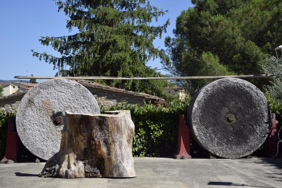 Day 6: Visit the Olive Oil Mills