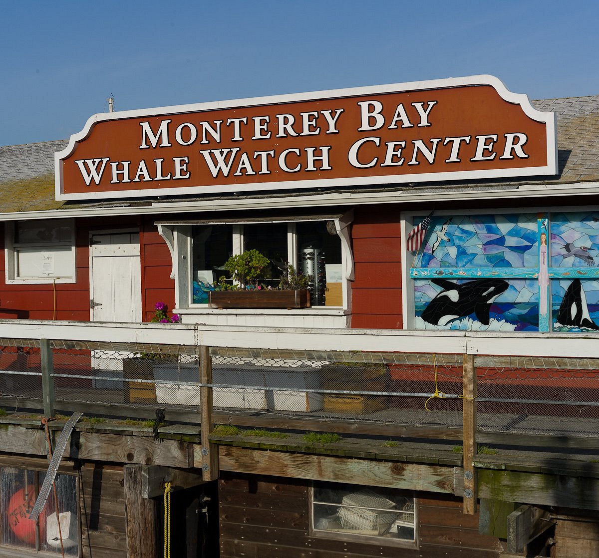 Monterey Bay Whale Watching