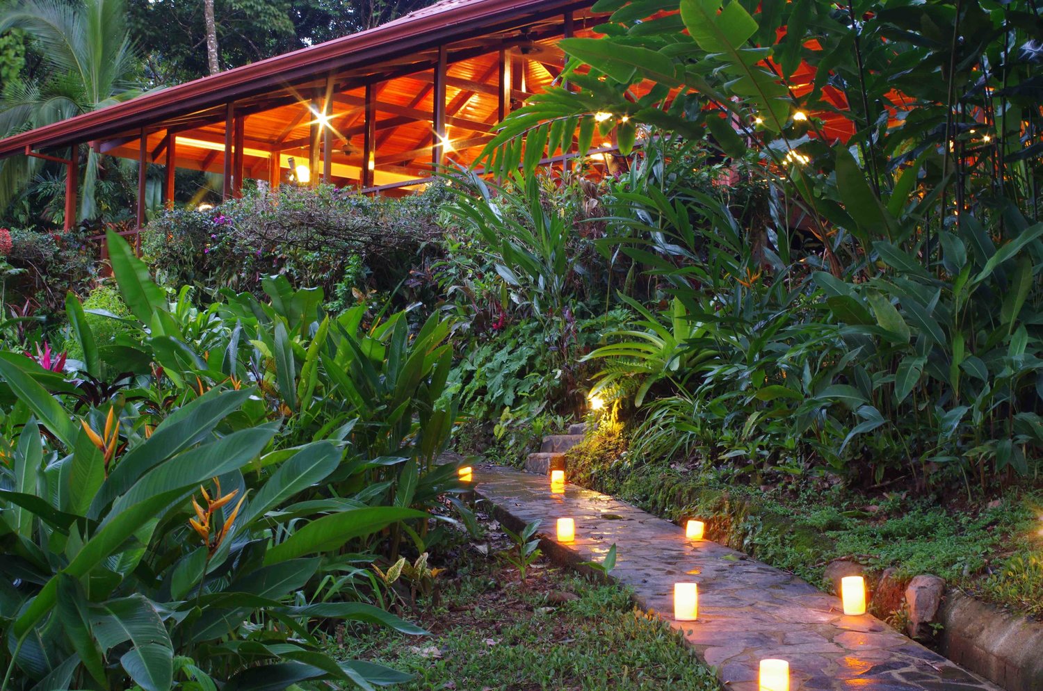 Paloma Hotel with Forest View