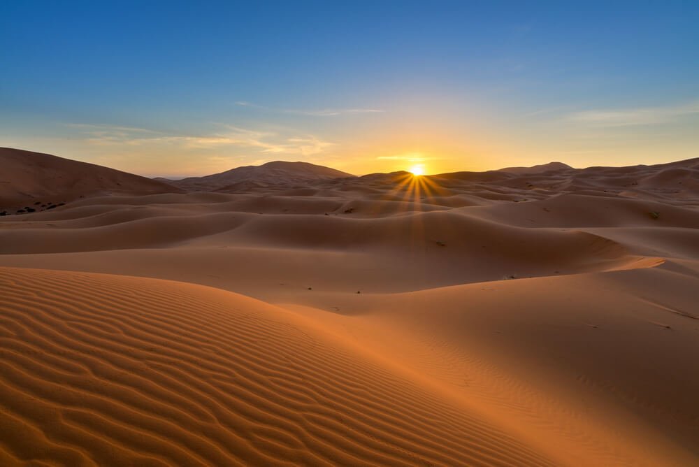 Sahara Sunrise Cocktail