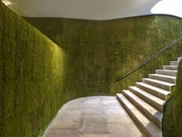 Vertical Garden