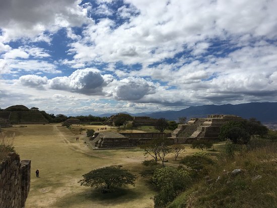 Day 4: Wildlife Watching and Birding