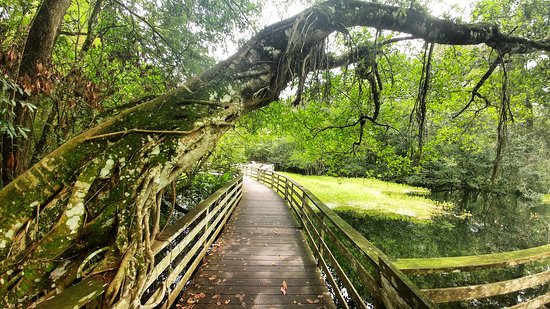Relax at the Beautiful Naples Beaches