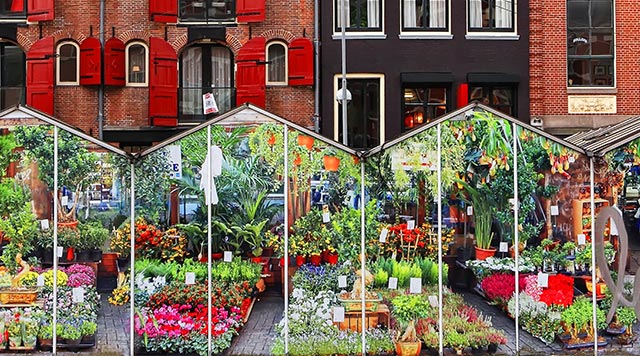 Mercado de las Flores