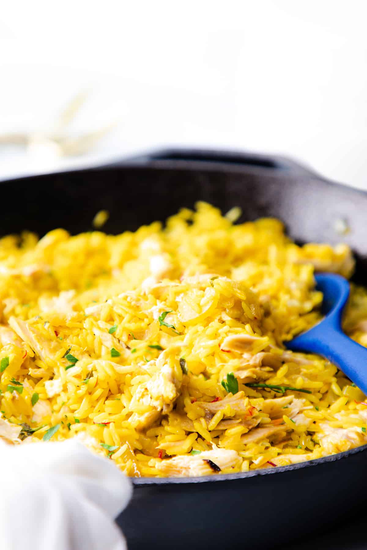 Chicken and Yellow Rice
