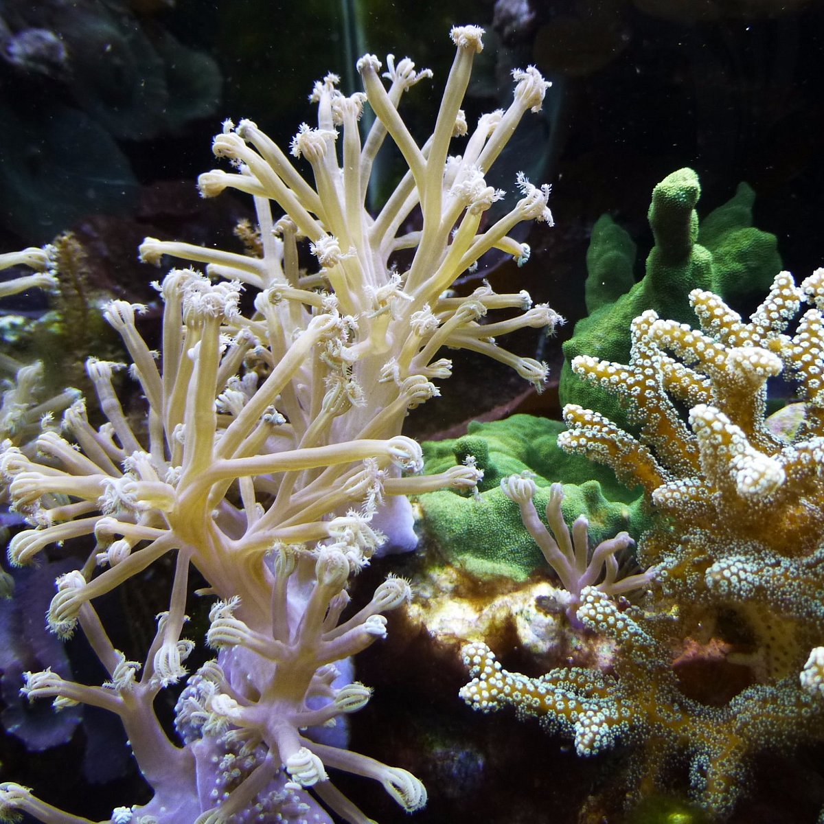 St. Lucie County Aquarium