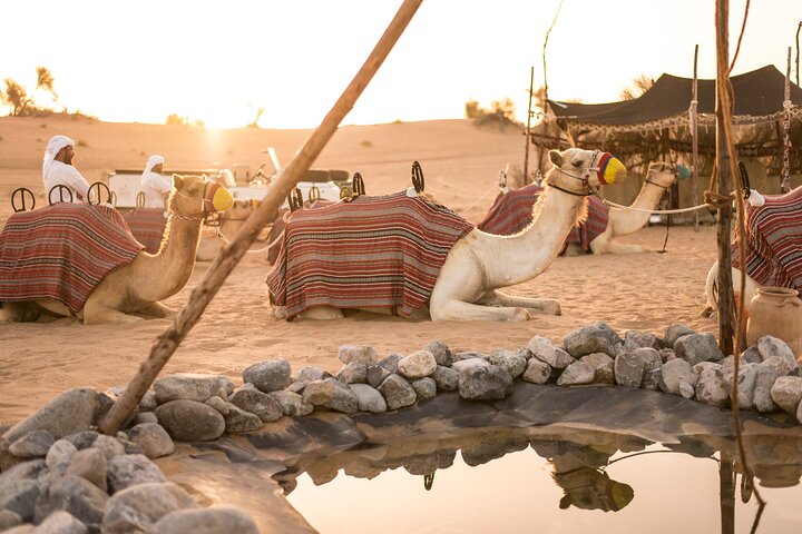 Experience Bedouin Culture