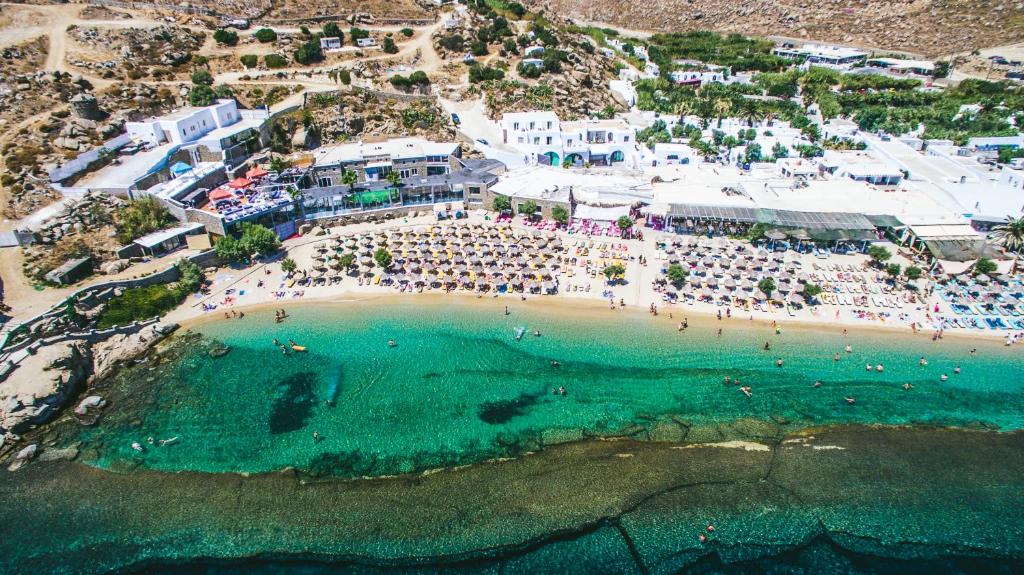 Beachfront Paradise Resort