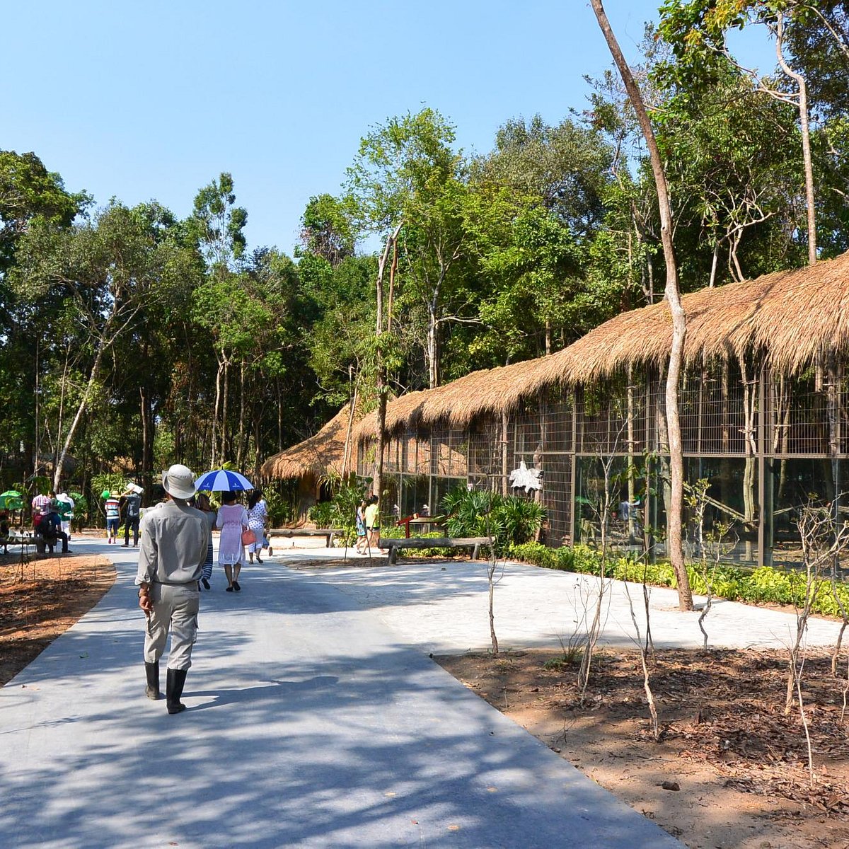 Day 5: Visit the Vinpearl Safari